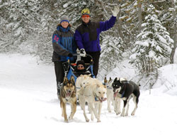 Canmore Dog Sled Tours