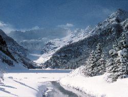 Lake Louise and Icefields Tour