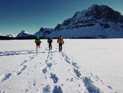 Banff Snowshoeing