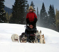 Jasper Dog Sledding