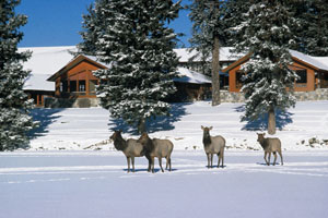 Fairmont Jasper Park Lodge